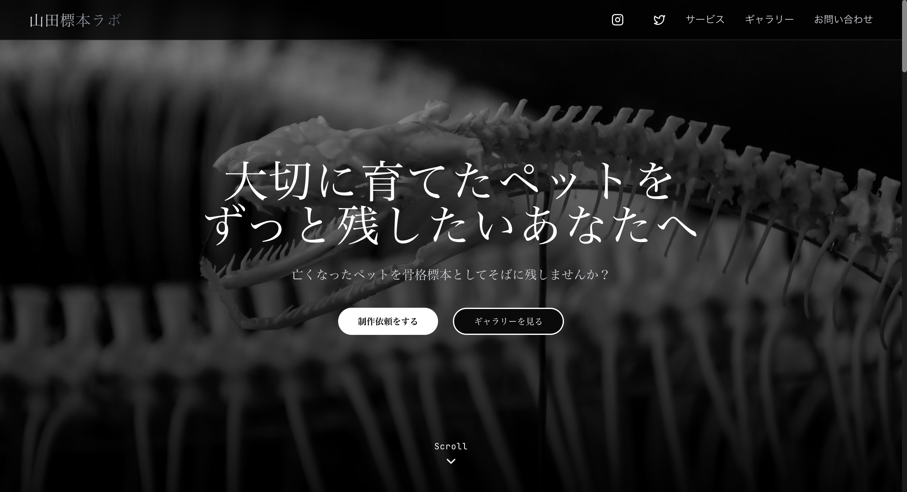 山田標本ラボ様のサムネイル画像